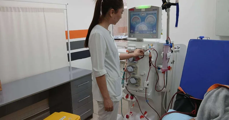 О доверии и понимании