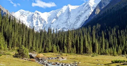 Заповедники откроют для бизнеса: в правительстве Казахстана готовят предложения
