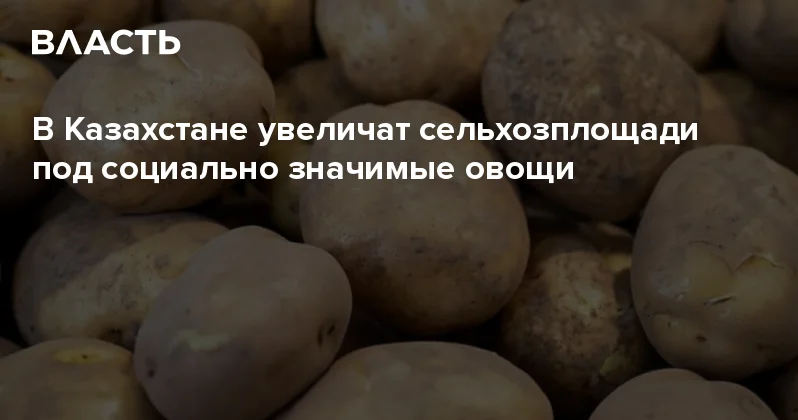 В Казахстане увеличат сельхозплощади под социально значимые овощи Аналитический интернет журнал Власть