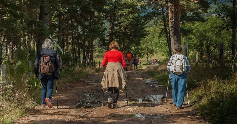 Отандық туризмнің басты проблемасы аталды