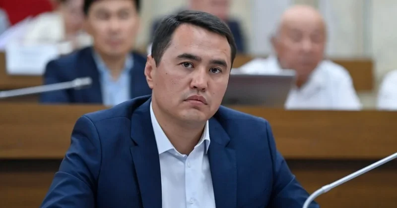 Депутат из Кыргызстана годами избивал жену