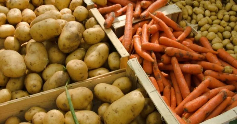 Картоп пен сәбіз: 2026 жылы тапшылық қаупі бар ма?