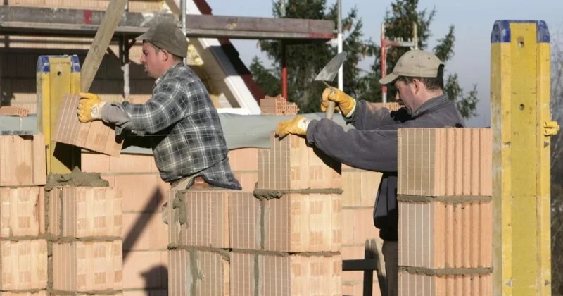 Германияда көлеңкелі экономиканың көлемі 500 млрд еуродан асты