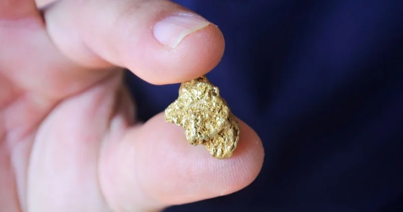 Хищения из золотой комнаты на 4 млрд тенге: приговор по делу ОПГ вынесли в Семее