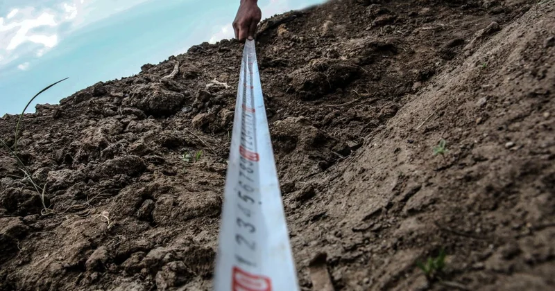 Новые госуслуги в сфере земельных отношений запустили в Казахстане