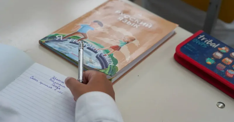 Министр просвещения выступила против смены электронных дневников в середине года