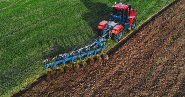 Өңірлер 2026 жылы әлеуметтік маңызы бар көкөністер мен жүгері егісін ұлғайтады