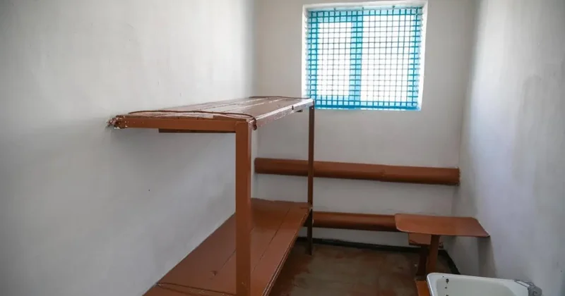 Жительницу Жетысуской области, подозреваемую в избиении ребёнка, арестовали