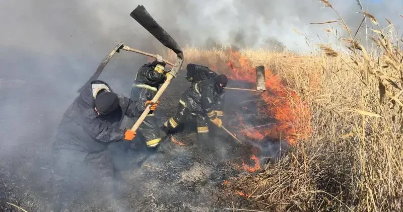 Атыраудағы Алғабас ауылынан 5 шақырым қашықта қамыс жанып жатыр