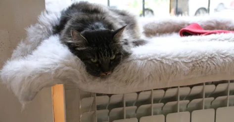 Счета за коммунальные услуги доводят жителей Киева до крайних мер