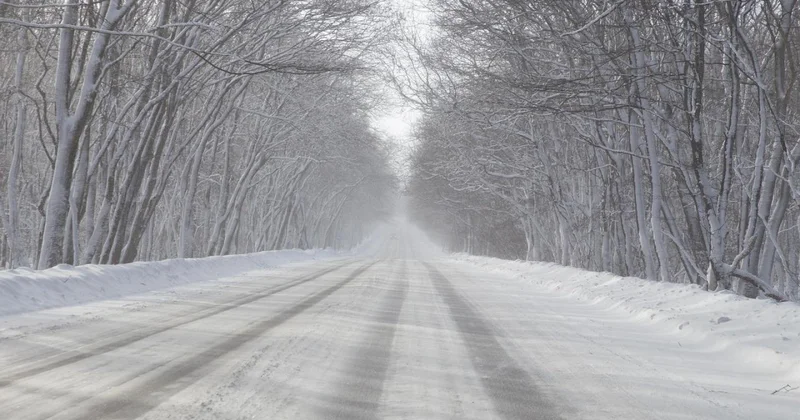 Мороз и метели: прогноз погоды на 27 февраля