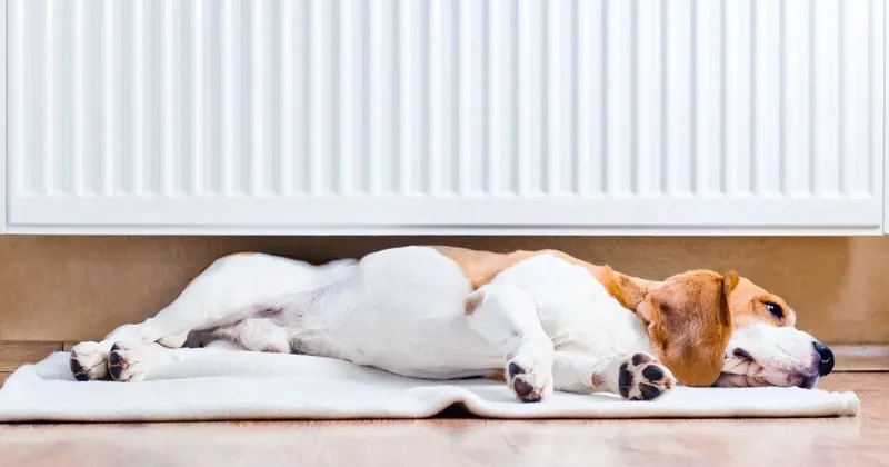 Почему при горячих батареях в квартирах Алматы холодно: названа причина