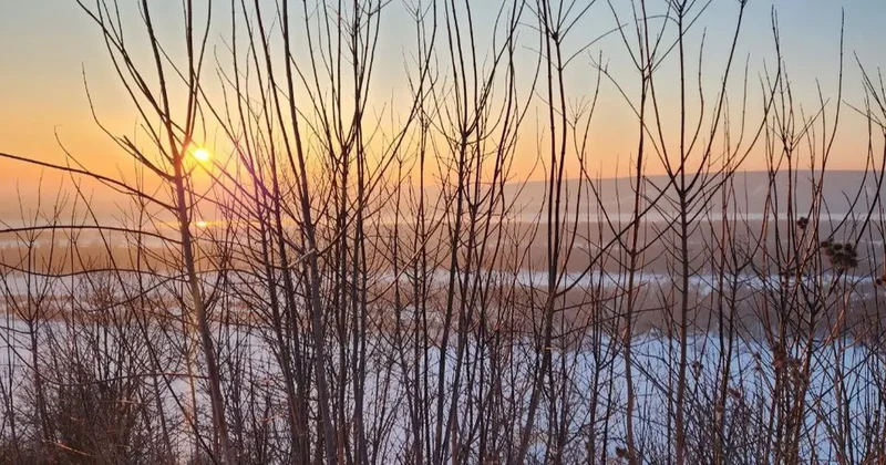 Прогноз погоды на 28 февраля: морозы придут на юг Казахстана