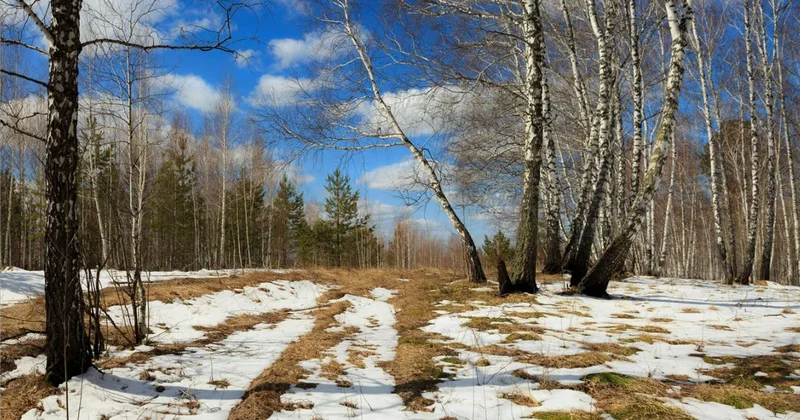 Табиғат сынағына тосқауыл