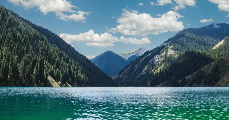 Көктемде Көлсай көлдерінде балық аулауға тыйым салынды