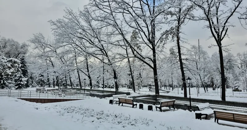 Қазақстан 51 жыл бойы сақталған температуралық рекордты жаңартты