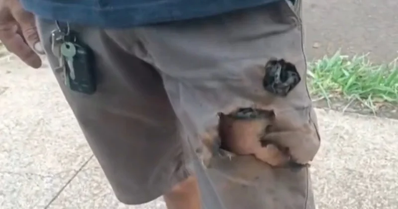 Взорвавшийся телефон спас мужчину от агрессивных собак