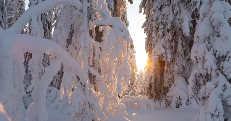 Морозы сохранятся в Казахстане до начала марта