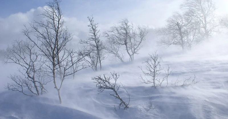 Ауа райы: Боран мен қатты аязға байланысты ескерту жарияланды