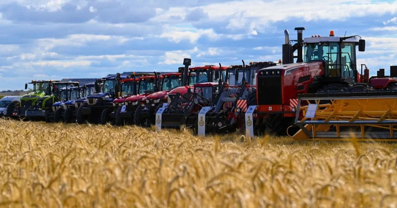 Батыс Қазақстанда барлық егіс көлемі 626 мың гектар болмақ