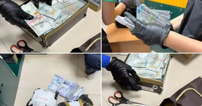 Солтүстік Қазақстанда қаржылық алаяқтыққа қатысты тергеу қорытындысы жарияланды