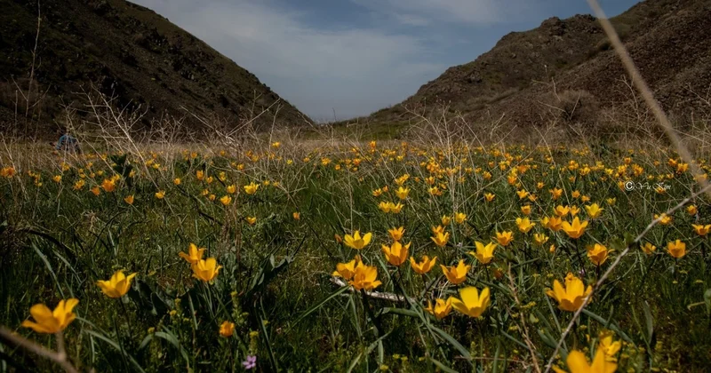 Кей өңірде 30 градус ыстық болады