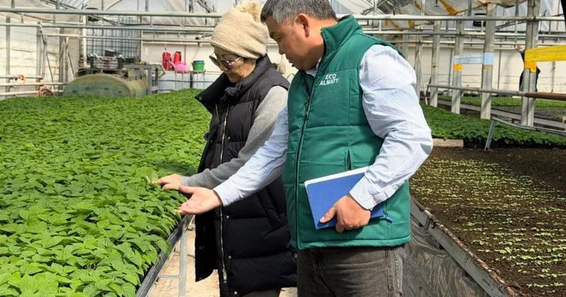 Гүлзарлар аумағы 77% ға ұлғаяды: Биыл Алматыда қандай гүлдер егіледі?