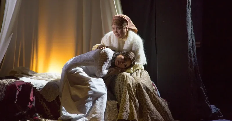 Мәдениет пен тарихтың Ата Заңда берік құндылық ретінде бекітілуі ерекше маңызды Аида Балаева