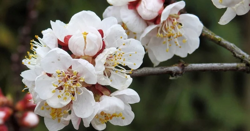 Солнечная и теплая погода порадует алматинцев в выходные