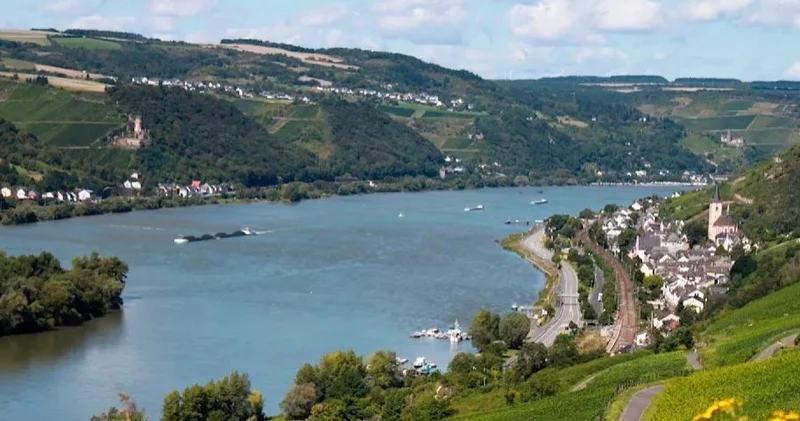 Еуропарламент қатерлі ісік қаупіне байланысты химиялық заттарға жаңа шектеуді мақұлдады