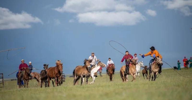 Әлемнің 56 елі Дүниежүзілік жылқы күні туралы қарарды қолдады