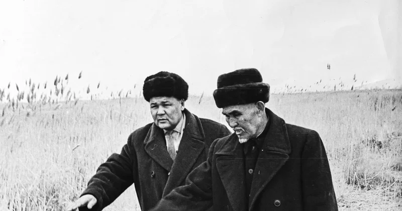 Нөкерсіз жүрген, нөсерге төзген