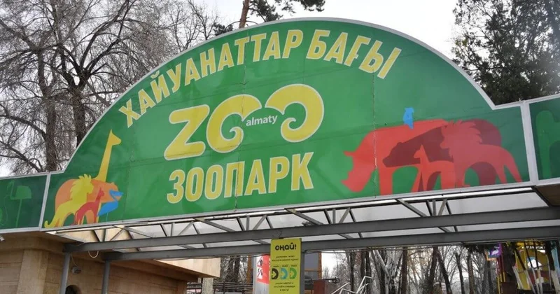 Тройня! В алматинском зоопарке пополнение (ВИДЕО)