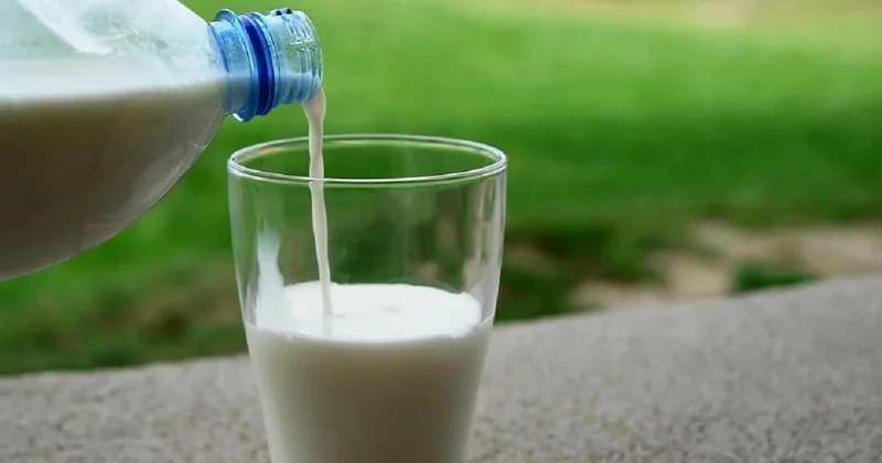 Подделку кумыса хотят признать серьезным правонарушением в Кыргызстане