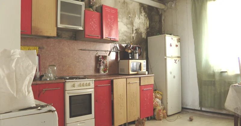 Дома для очередников покрылись плесенью в Павлодарской области