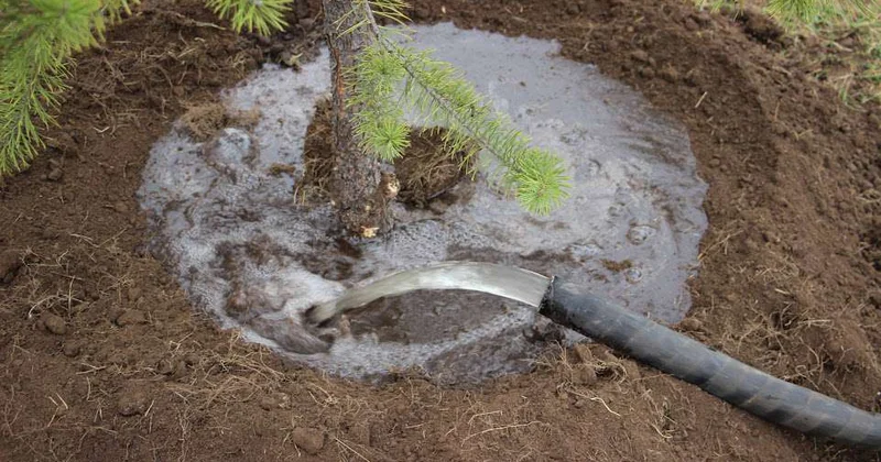 Когда экокультура снижает тревожность
