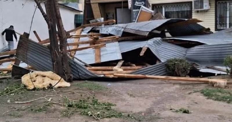 Сильный ветер обрушился на Павлодарскую область: есть пострадавшие (фото, видео)