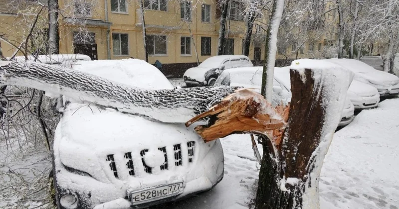 Мәскеуге кейінгі 150 жылда болмаған қалың қар жауды