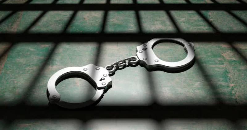 Instagram арқылы үй өртеп , табыс тапқысы келген астаналық түрмеге түсті