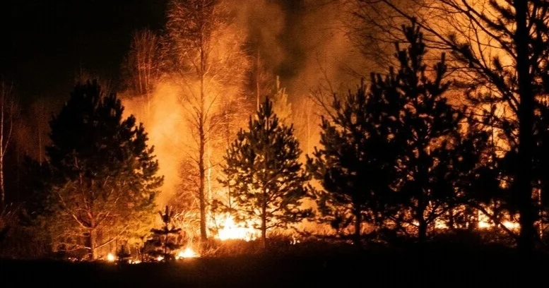 Джорджиядағы орман өрттері 120 дан астам үйді қиратты