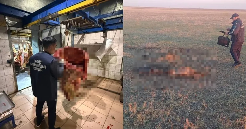 СҚО да сатып алушының қырағылығы мал ұрлығын жедел ашуға көмектесті