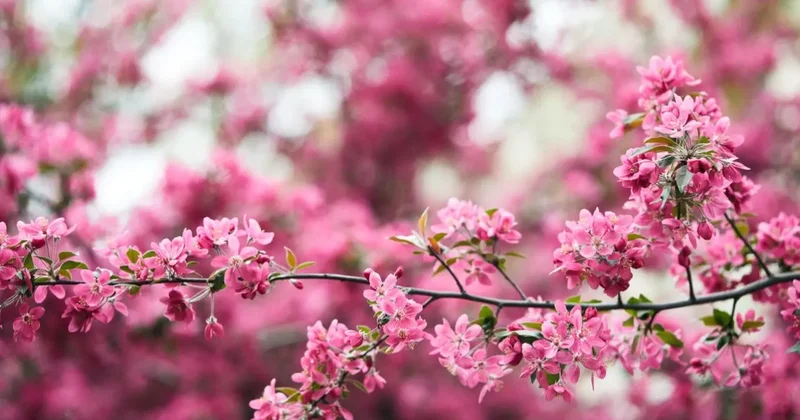 До +34 на юге и +30 в центре: тепло, но дождливо будет в Казахстане в последние дни апреля