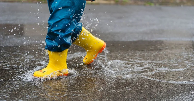 Дождливую неделю прогнозируют синоптики в Алматы