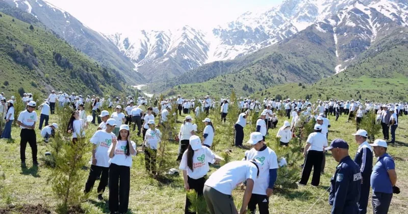 Сделаем край ещё зеленее