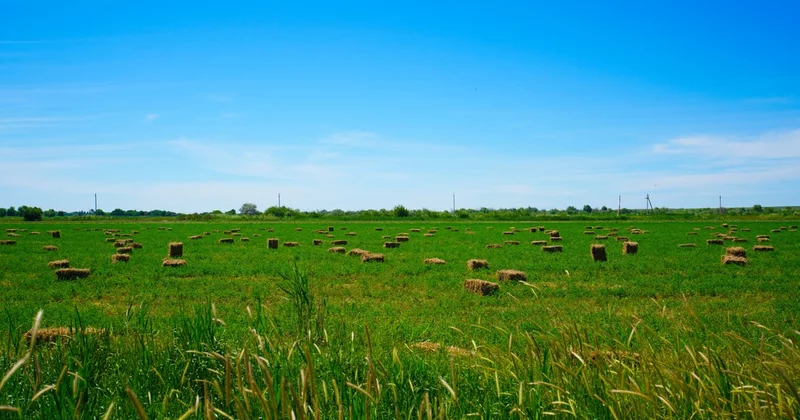Биыл Ертіс жайылмаларының 80 пайыздан астамын ғана су басады деп болжанып отыр