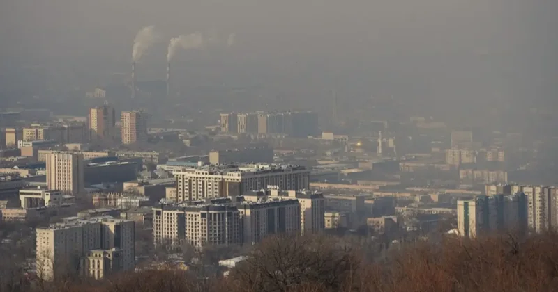Часть экоактивистов, по моему мнению, без всяких оснований надевает погоны экологов