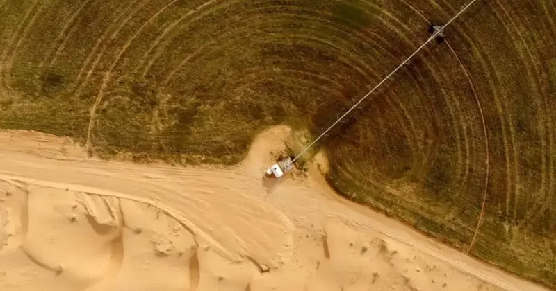 Можем ли мы озеленить пустыни? И нужно ли это делать?