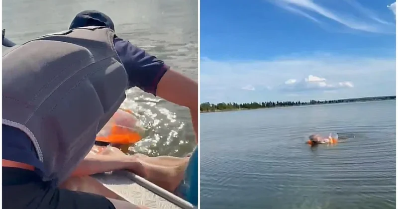 Женщину унесло ветром во время купания на озере Катырколь