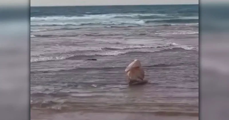Видео с матерью погибшего моряка оказалось фейком
