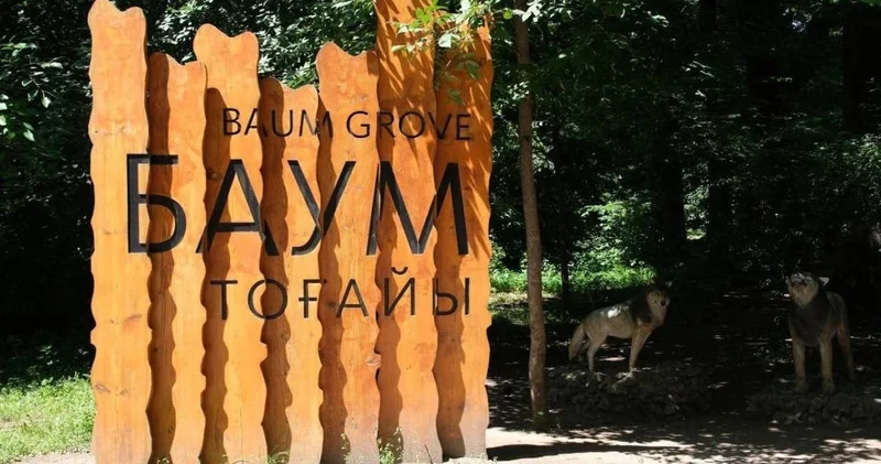 BAZIS A корпорациясы Баума тоғайына қатысты маңызды мәлімдеме жасады